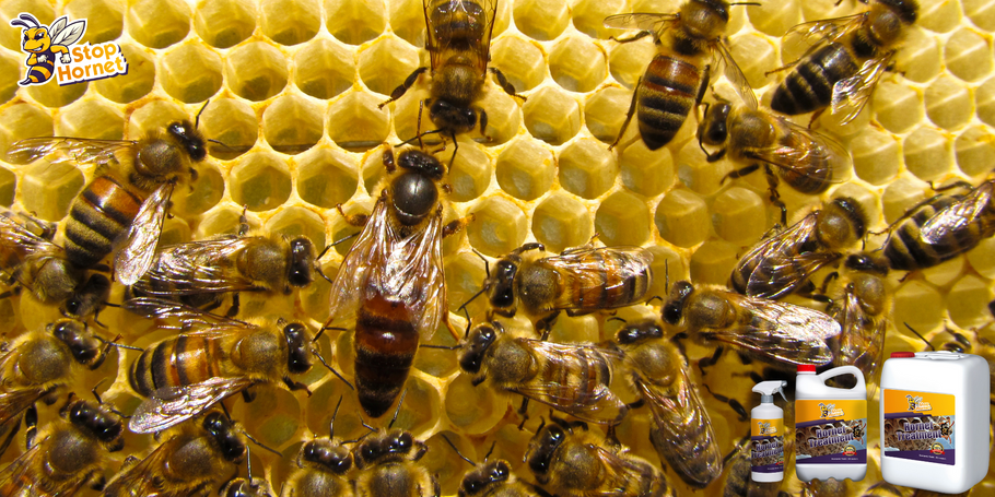 ¿Se puede utilizar el producto antiavispones y avispas cerca de colmenas o colonias de abejas?